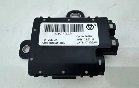 Renault Scenic IV - Grand scenic IV Positive wiring loom 243113394R