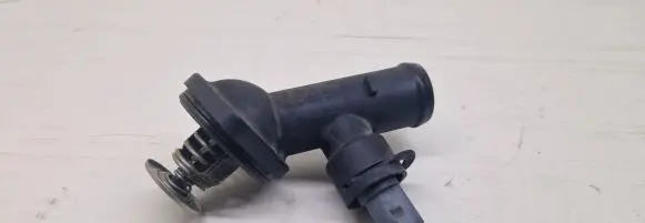 Thermostat/thermostat housing