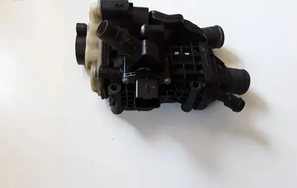 Thermostat/thermostat housing
