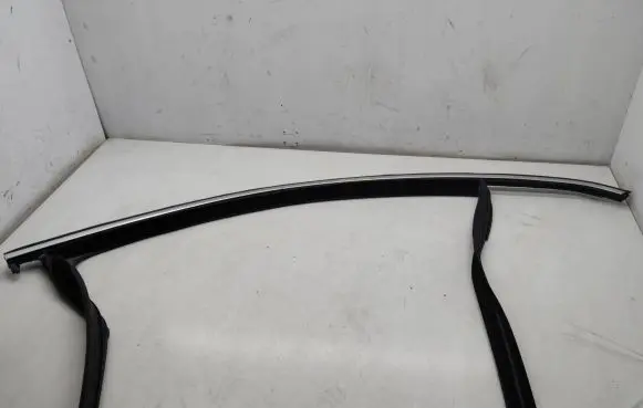 Volkswagen Tiguan Rubber seal front door window/glass 