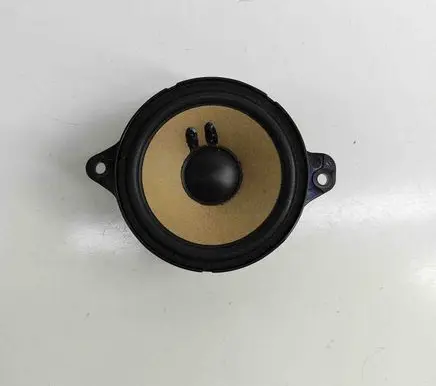 Panel speaker