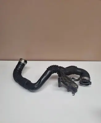 Nissan Qashqai Air intake hose/pipe 1171625S01
