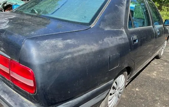 Fender
