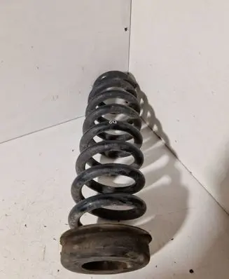 Rear coil spring