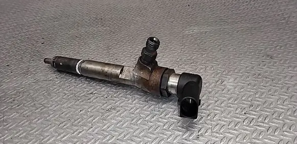 Nissan Qashqai Fuel injector 8200380253 H8200294788
