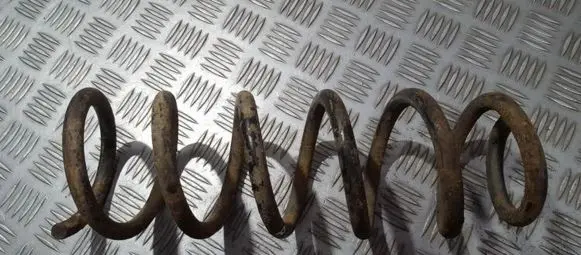 Rear coil spring