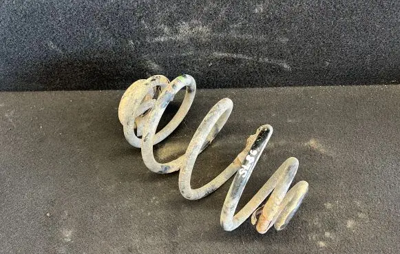 Volkswagen PASSAT B5.5 Rear coil spring