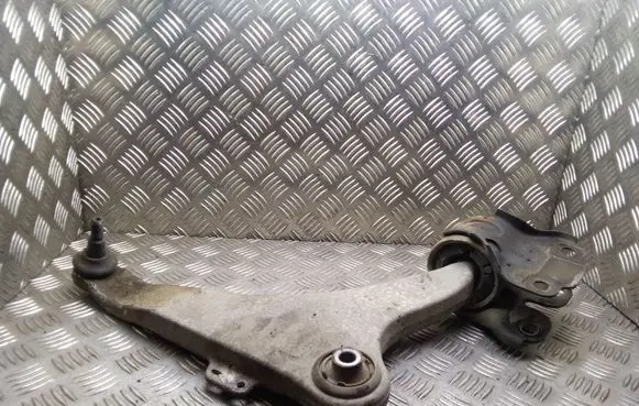 Front lower control arm/wishbone