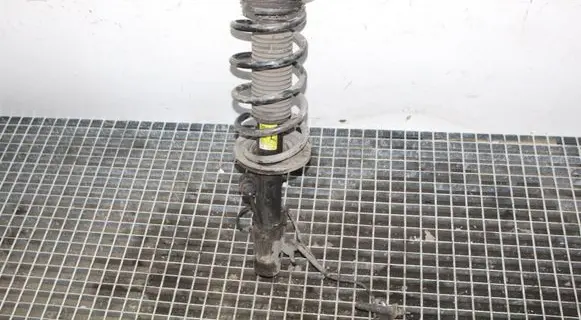 Opel Antara Front shock absorber/damper 95166266