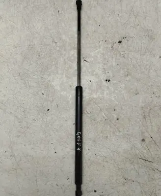 Tailgate strut