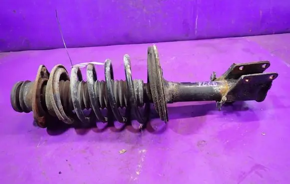 Fiat Doblo Front shock absorber with coil spring 