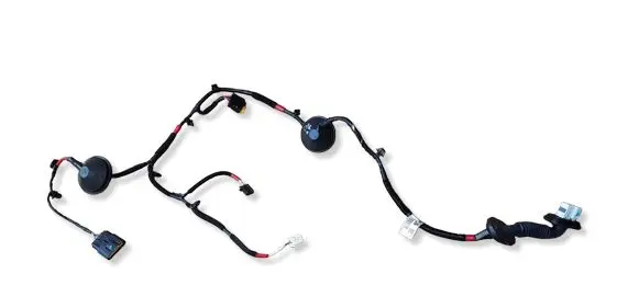 Hyundai i30 Rear door wiring loom 91650G4060 0920411 1791201