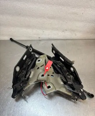 Audi A4 S4 B9 Engine bonnet/hood hinges DOAUDIA4B9