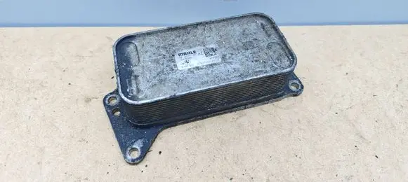 Oil filter mounting bracket