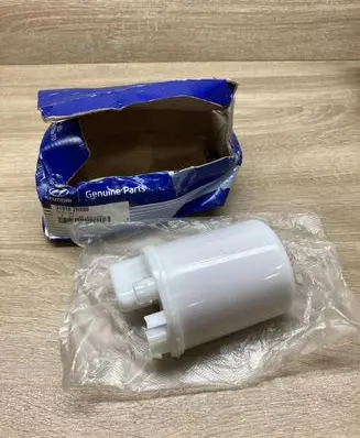 Hyundai i30 Fuel filter 319102H000