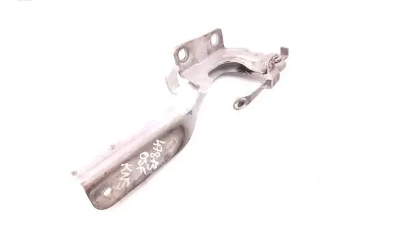 Nissan Juke I F15 Engine bonnet/hood hinges