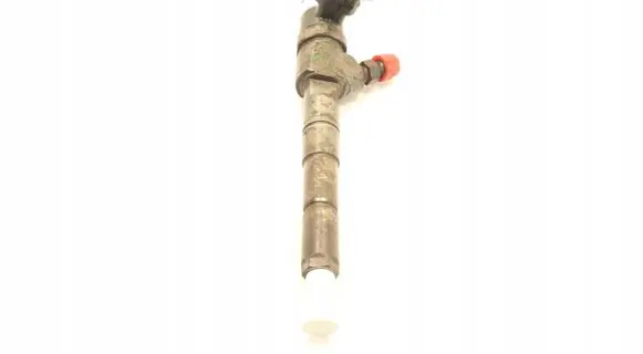 Opel Insignia A Fuel injector 044510027