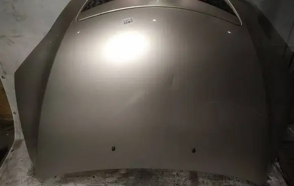 Engine bonnet/hood
