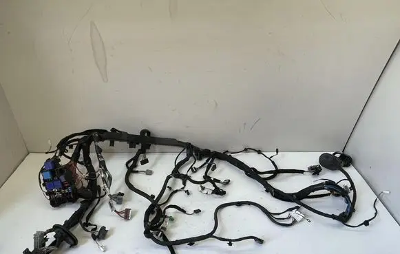 Renault Scenic IV - Grand scenic IV Panel wiring 240135456R 243800453R