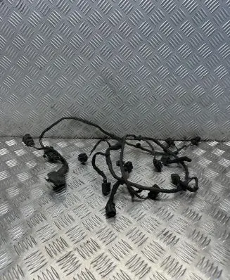 Volkswagen Phaeton Parking sensor (PDC) wiring loom 3D0971095BB