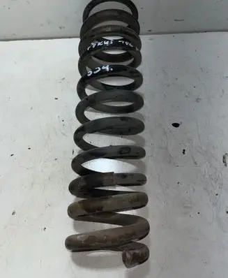 Ford Focus Rear coil spring