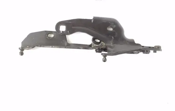 BMW Z4 E89 Tailgate/trunk/boot hinge 7191275
