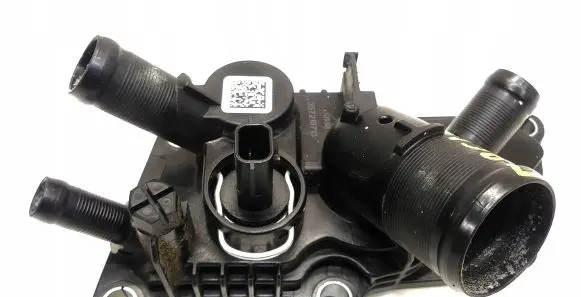 Dacia Sandero III Thermostat/thermostat housing 110616875R
