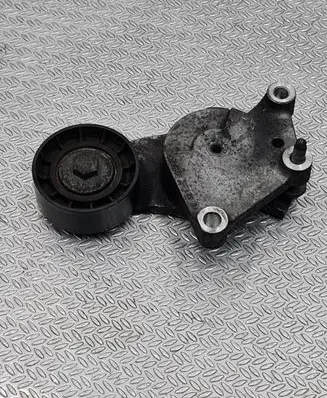 Citroen C5 Generator/alternator belt tensioner 846143