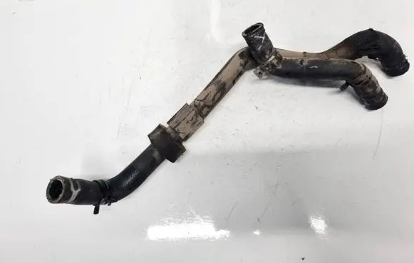 Volkswagen PASSAT B5.5 Engine coolant pipe/hose
