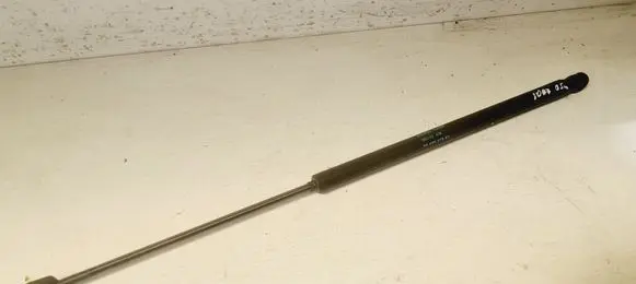Peugeot 1007 Tailgate/trunk strut/damper 9649587680