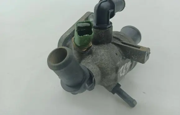 Thermostat/thermostat housing