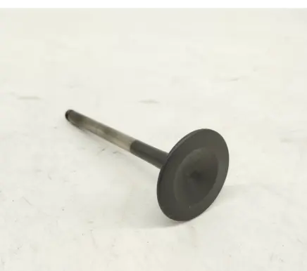 Mercedes-Benz S W140 Valve 1110531101 A1110531101