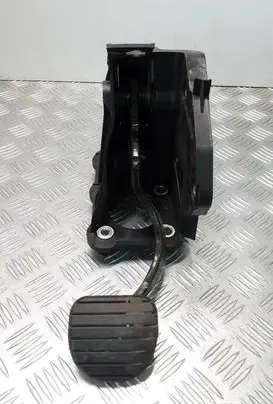 Renault Latitude (L70) Brake pedal 465010032R