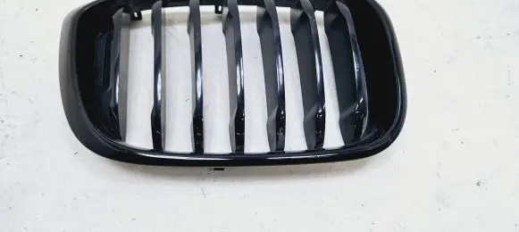 BMW X3 G01 Front bumper upper radiator grill 8091725