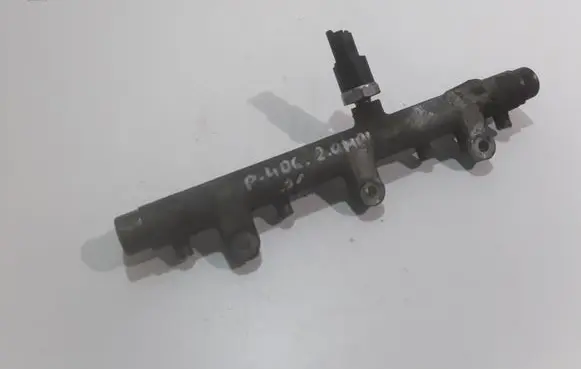 Peugeot 406 Fuel main line pipe 0445214019