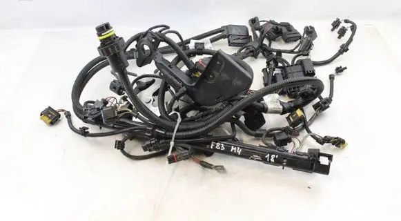 Engine installation wiring loom