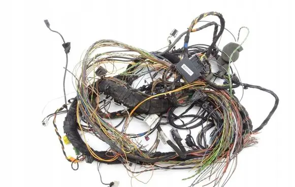 Mercedes-Benz S W221 Front door wiring loom 2215409913 2215408432 2215404613