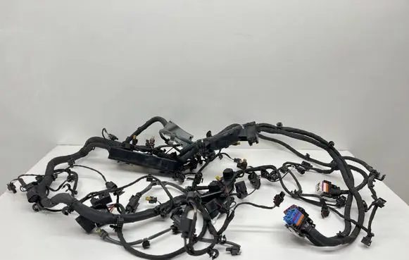 Porsche Panamera (971) Engine installation wiring loom 06M971595 06M971595BB