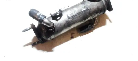 Chevrolet Captiva EGR valve cooler 96817829 c102079