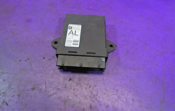 Opel Vectra C Door control unit/module 13111456