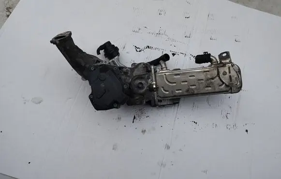 EGR valve