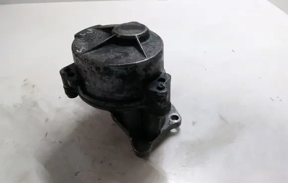 Renault Scenic II - Grand scenic II Vacuum pump D163322916 2B121103