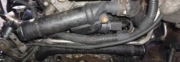 Volkswagen Golf Plus Engine coolant pipe/hose TOPRAN110360