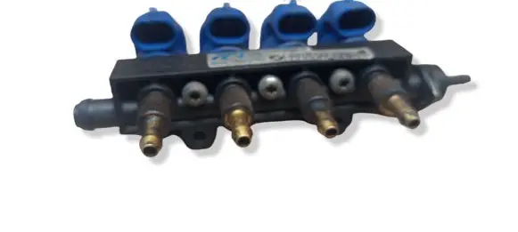 Volvo V50 LP gas injector 110R006359