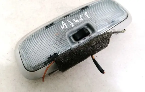 Ford Focus Front seat light