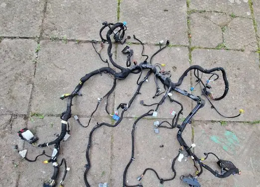 Other wiring loom