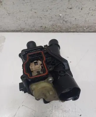 Thermostat/thermostat housing