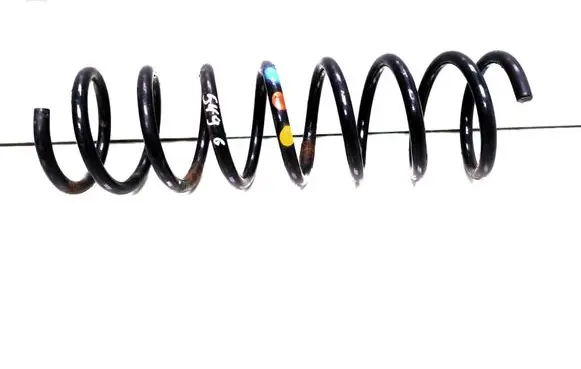 Rear coil spring