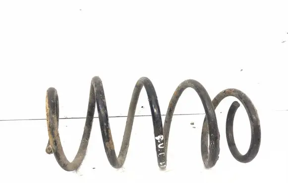 Front coil spring