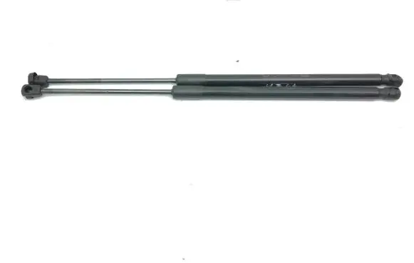 Tailgate/trunk strut/damper